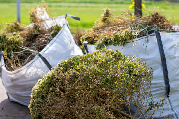 Shed Removal in Bal Harbour, FL